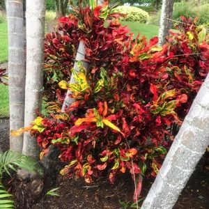 Meet your Posher, NewOrGentle